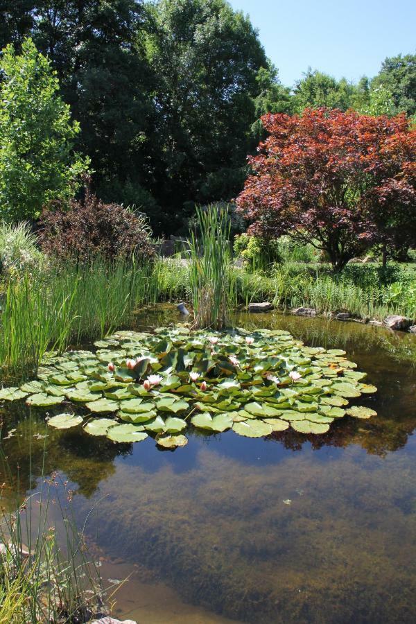 Fewo - Wohlfuehlambiente & Gartenparadies Modautal Экстерьер фото